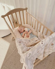 Up and Away Fur Lined Cot Blanket