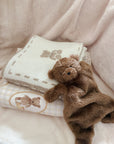 Little Ted Comforter Toy