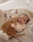 Squeaky Comforter Toy