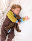Little Ted Comforter Toy