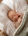 Newborn baby sleeping in a basket with plaid and green blankets
