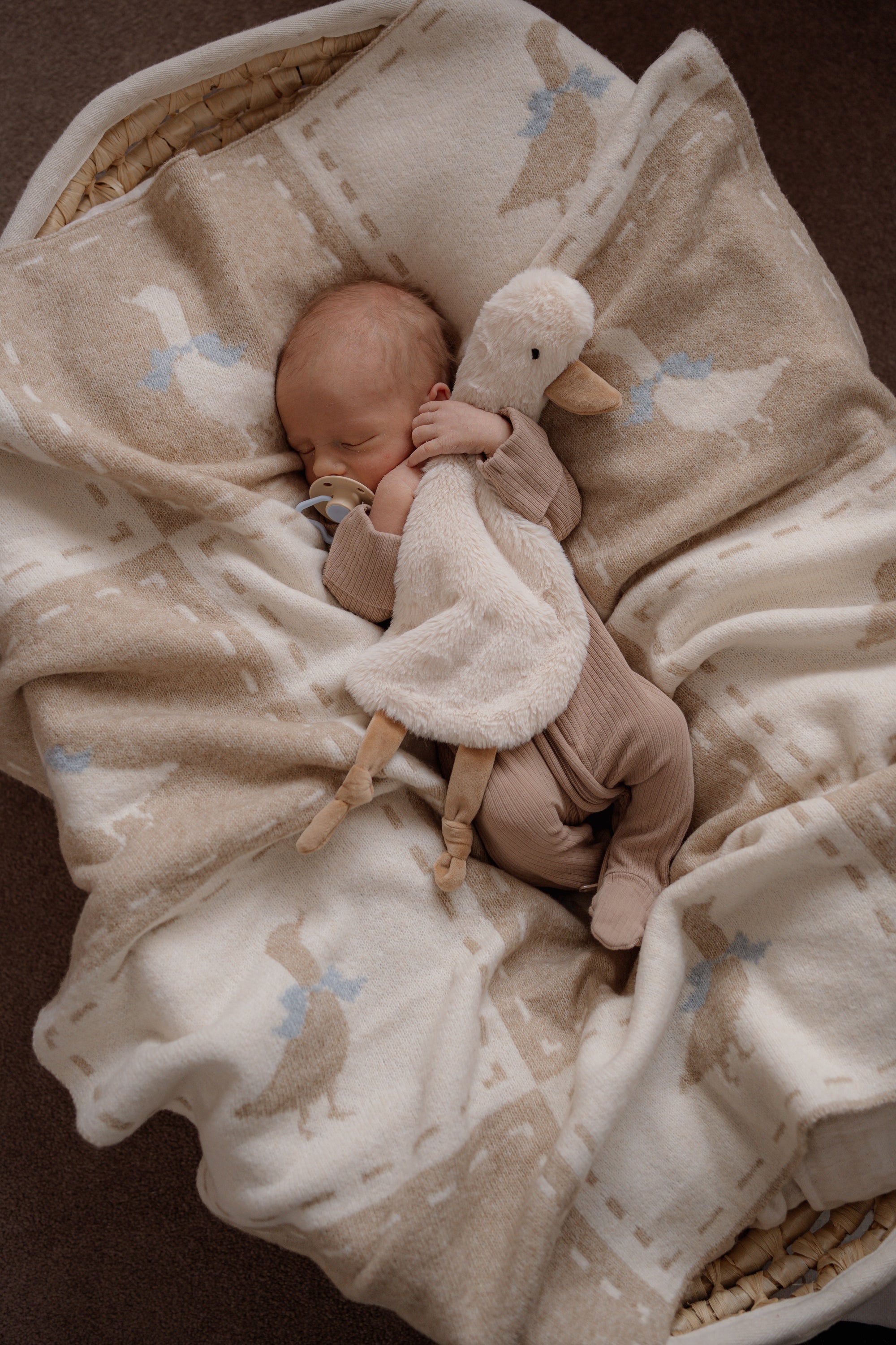 The Homestead Collection