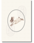 Little Cottontail Digital Prints