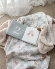 How Many Geese in a Gaggle Crinkle Book