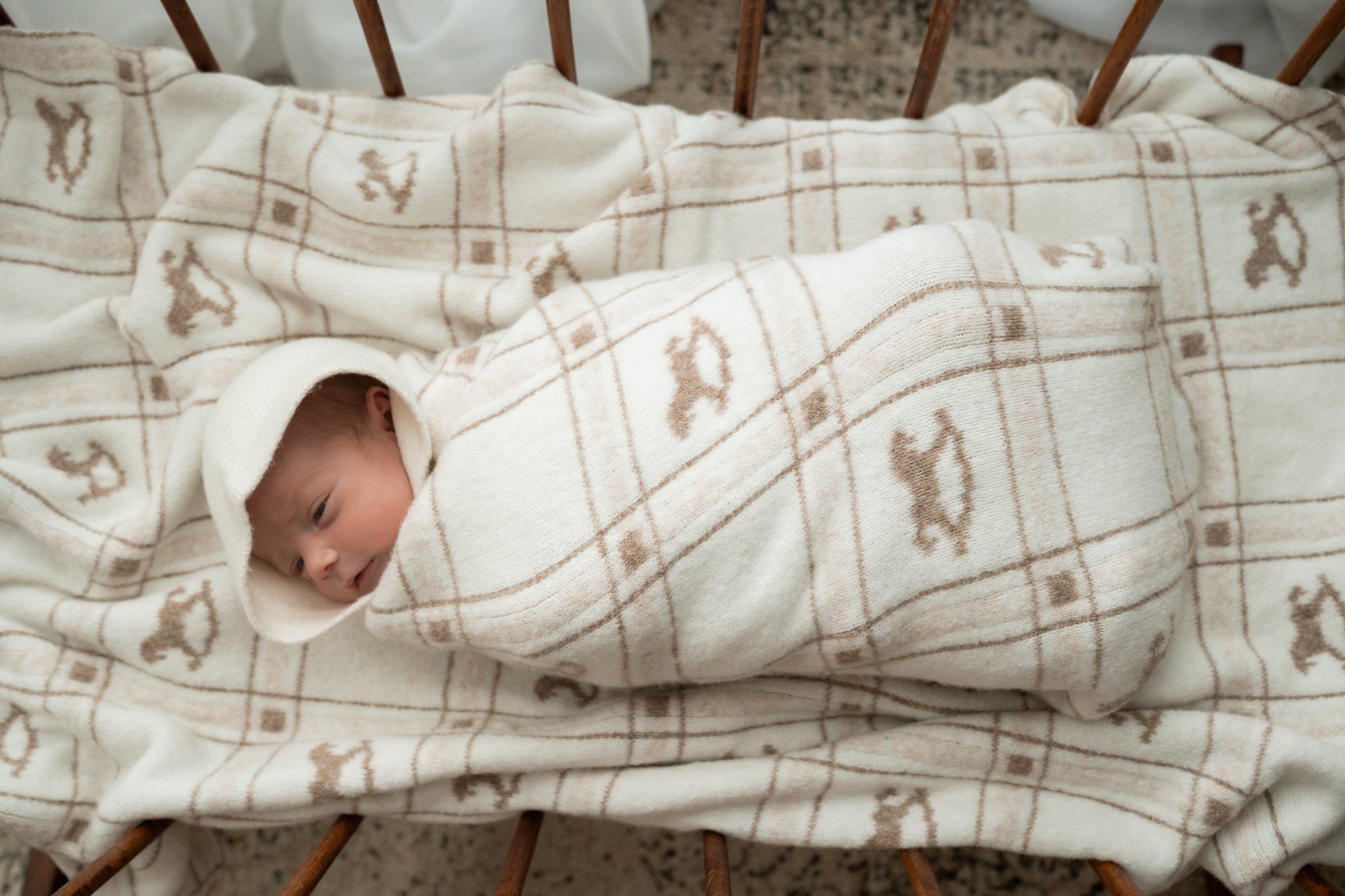 The Rocking Horse Blanket