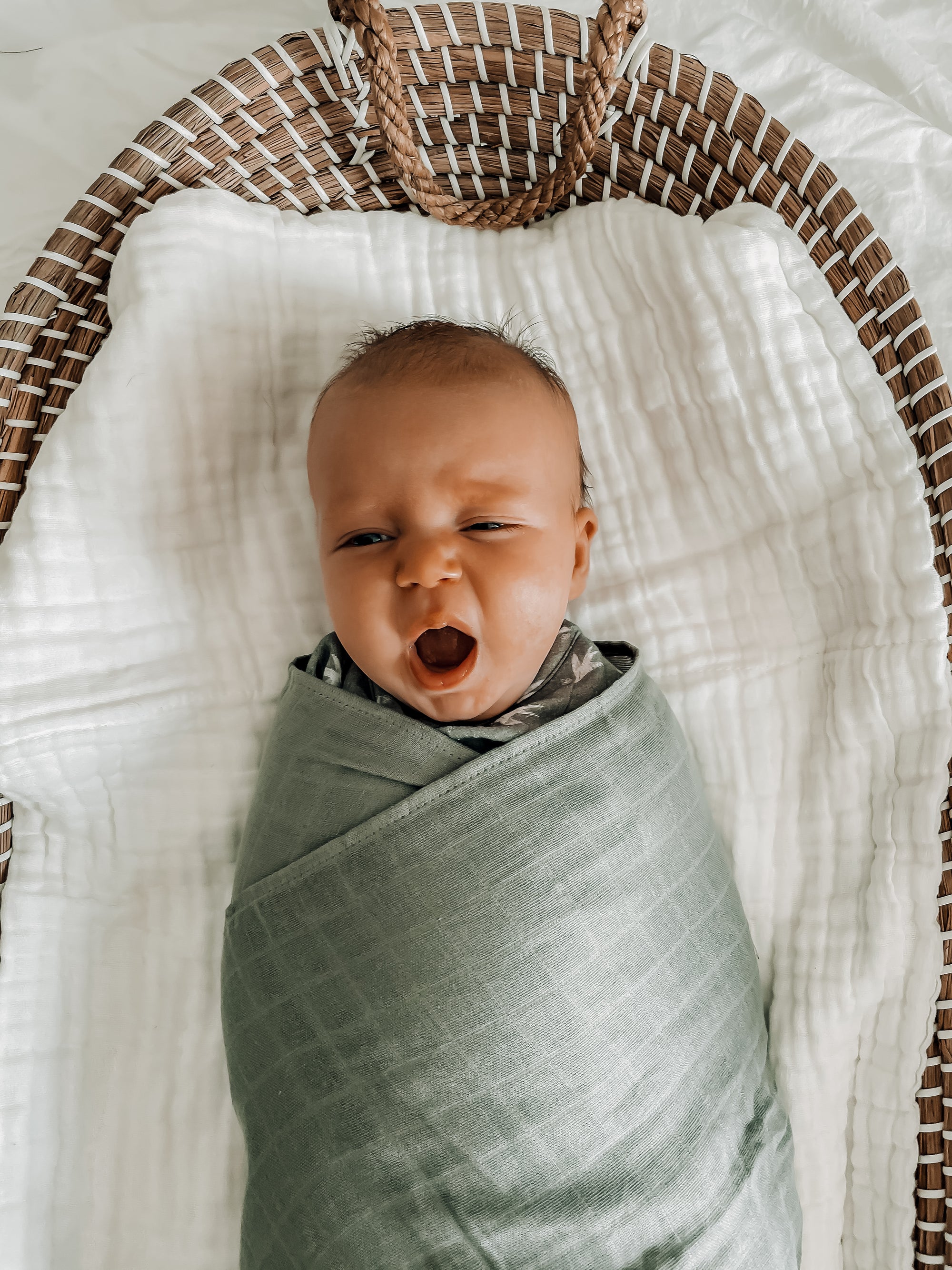 Moss - The Essential Swaddle Range