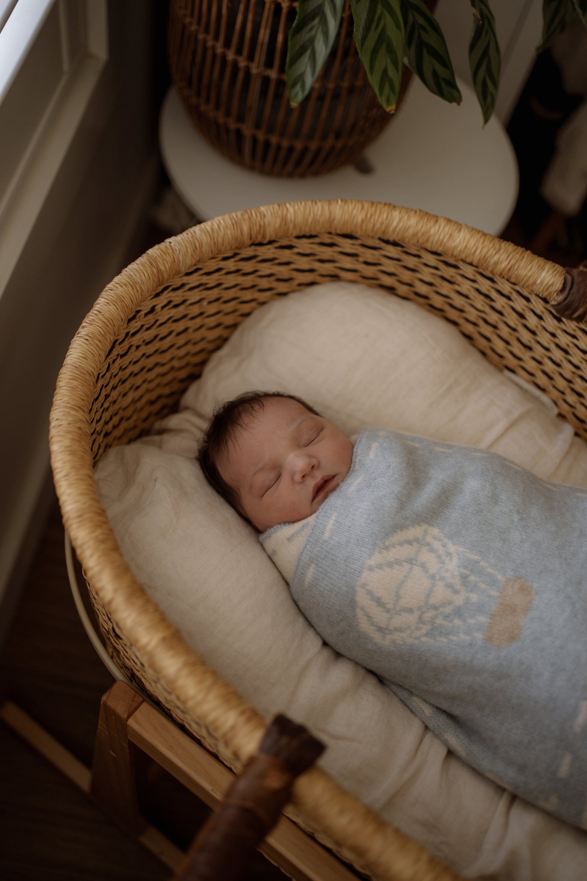 Newborn baby sleeping in a woven bassinet with a textured blanket.