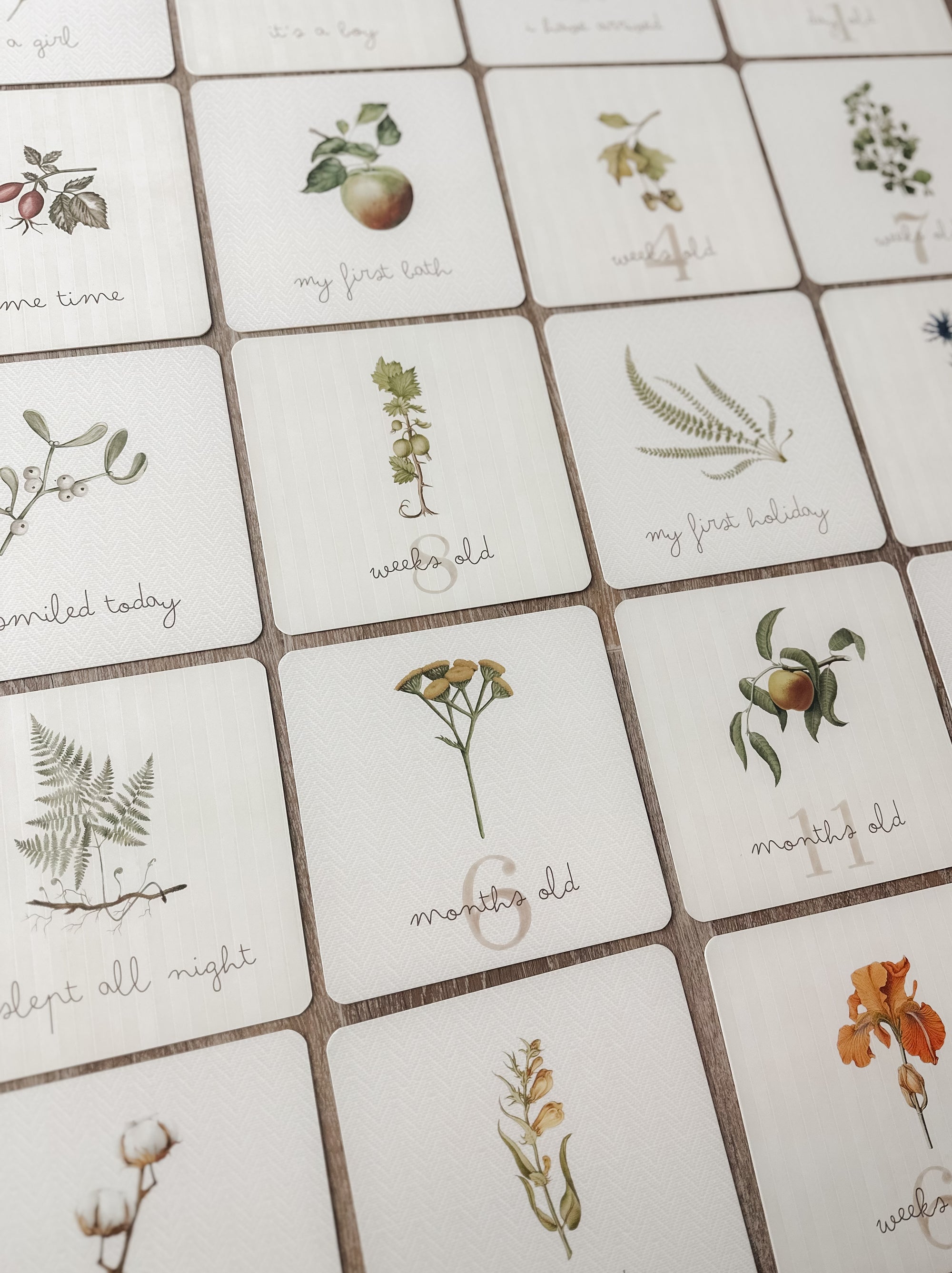 Botanical Milestone Cards