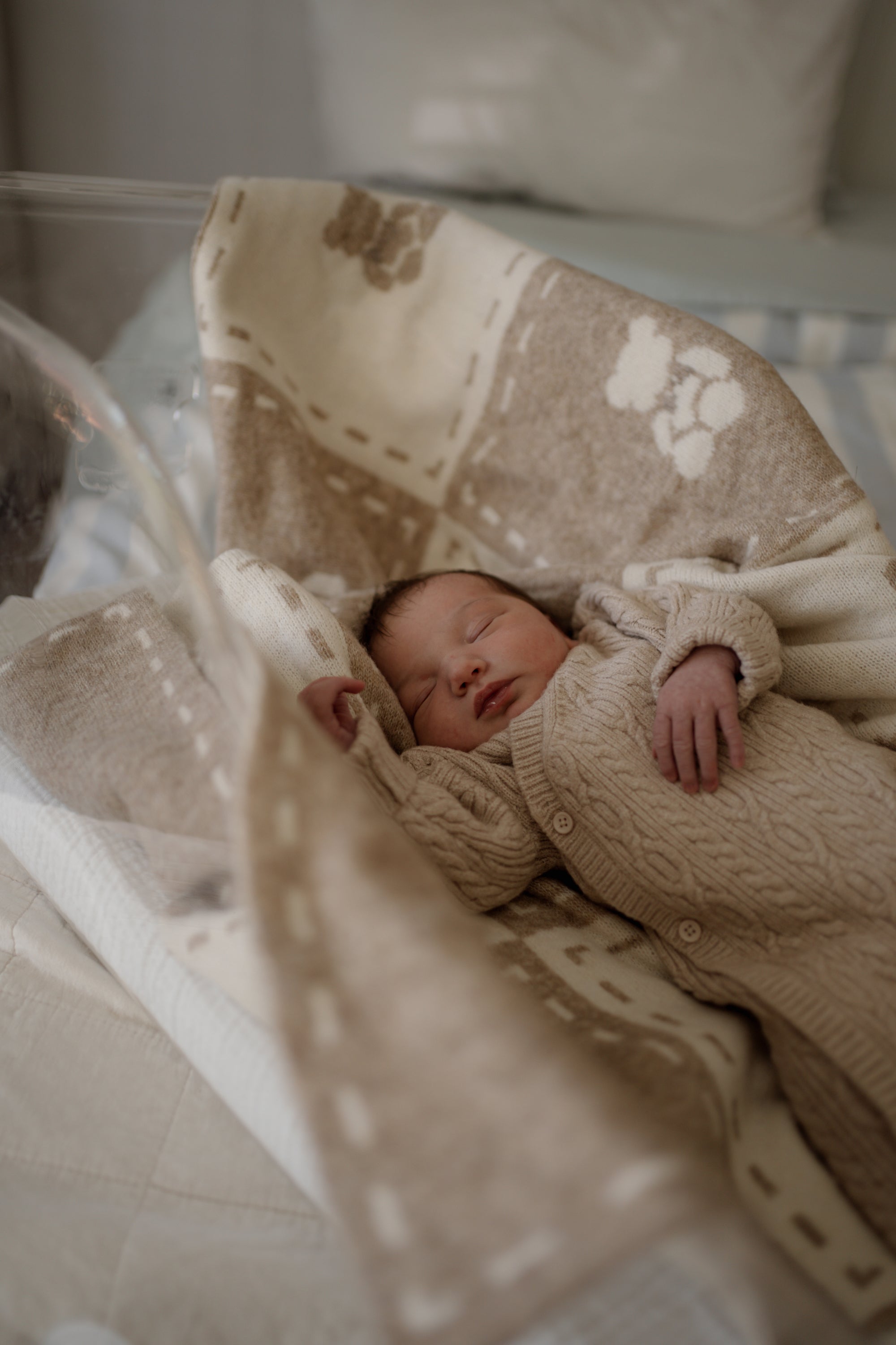Newborn baby sleeping in a bear blanket