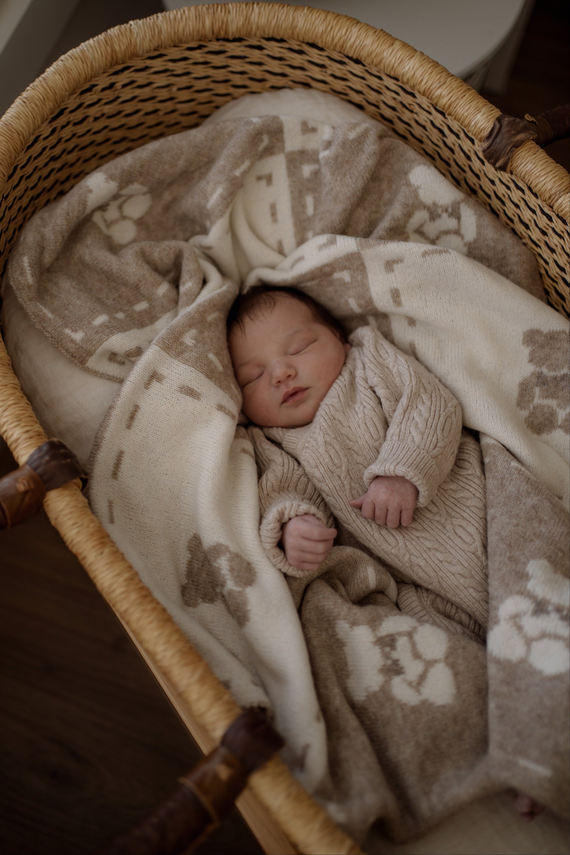 Newborn baby wrapped in a teddy blanket sleeping in a moses basket